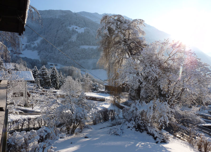 Winter im Garten